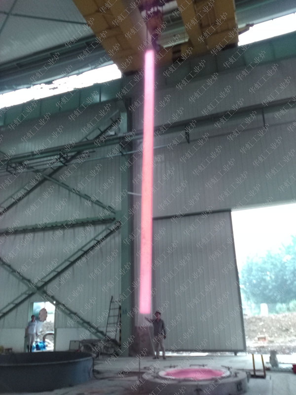 ��L�S�{�|�t